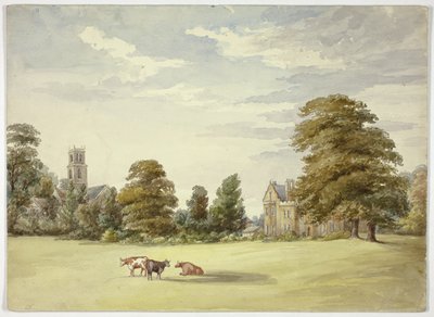 Krávy před Manor House a Church od Elizabeth Murray