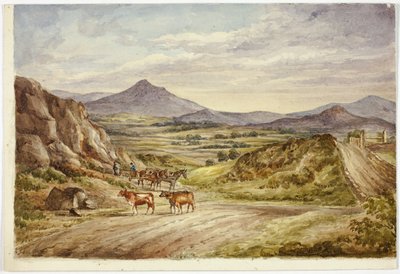 Wicklow Hills od Elizabeth Murray