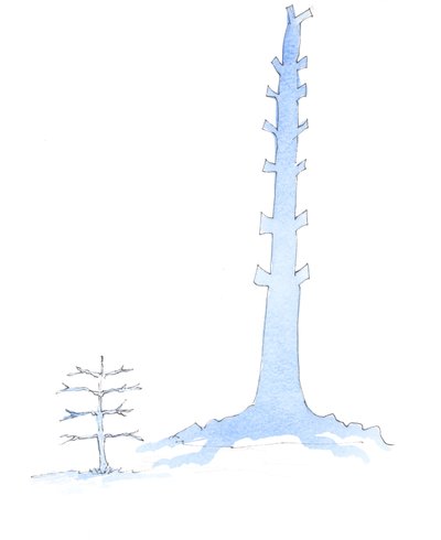 Církev vyrostla, jako obří dub roste z stromku, 2003 (bez papíru) od Elizabeth Wang