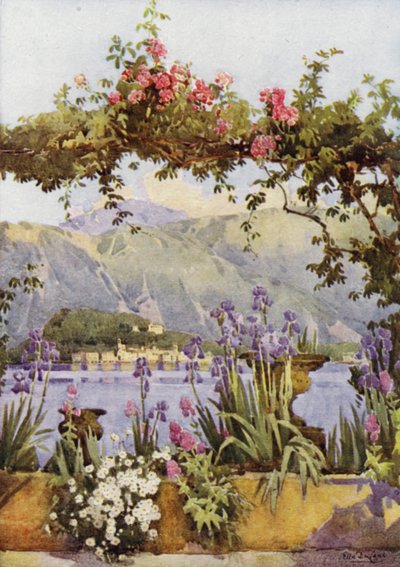 Zahrada v Cadenabbia, jezero Como (barva litho) od Ella Du Cane