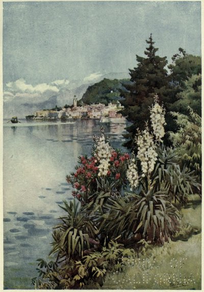 Skupina Yuccas, Villa Melzi, Lago di Como, Ilustrace z „Italských jezer“ od Richarda Bagota od Ella Du Cane