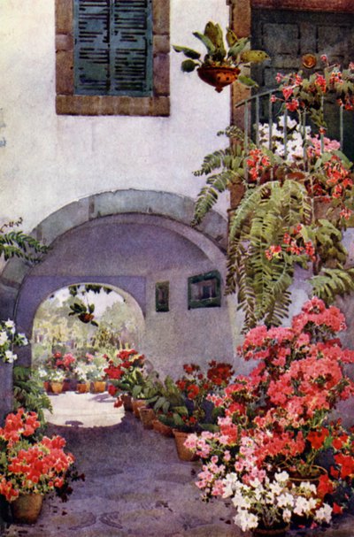 Azalky v portugalské zahradě (barva litho) od Ella Du Cane
