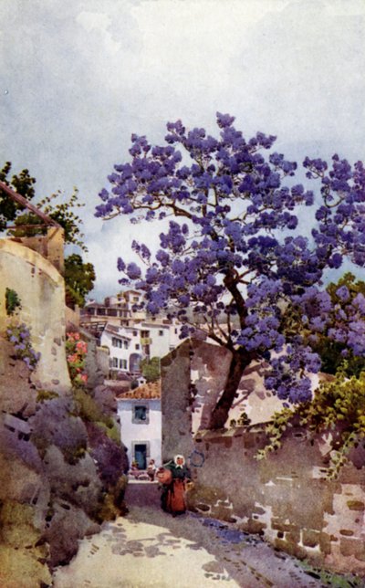 Jacaranda Tree (barva litho) od Ella Du Cane