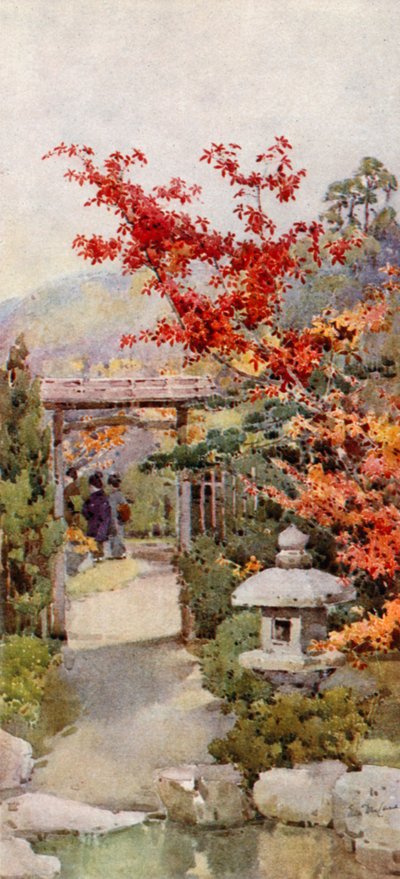 Scarlet Maple (barva lito) od Ella Du Cane