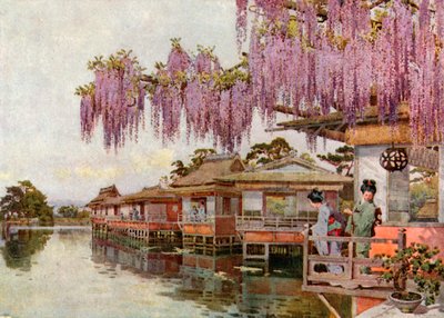 Wistaria, Nagaoka (barevná litografie) od Ella Du Cane