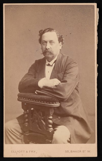 Portrét Davida Forbese 1828-1876, 1874. od Elliott and Fry