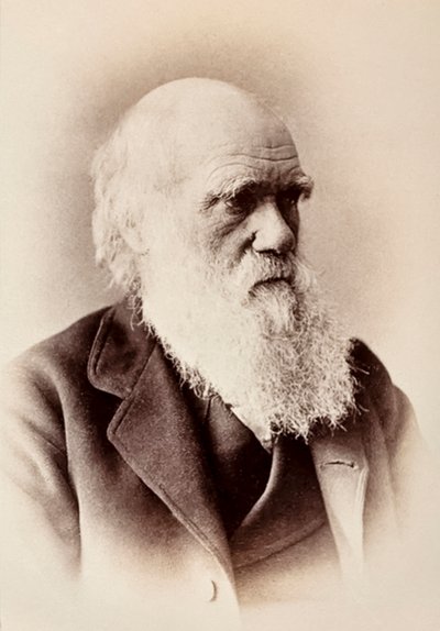Charles Darwin: anglický přírodovědec od Elliott und Fry Studio