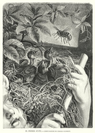 První zděšení (litho) od Emil (after) Schmidt