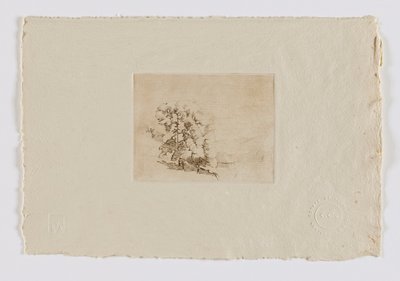 Connecticut Hillside (fm. portfolio) od Emil Carlsen