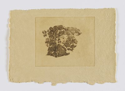 Studie stromů (fm. portfolio) od Emil Carlsen