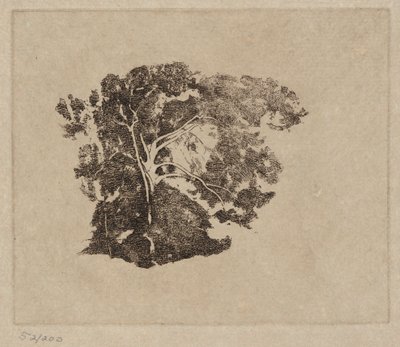 Stromová studie od Emil Carlsen