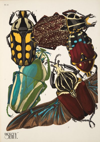 Talíř 11 z Insectes, hospoda. 30. léta (pochoir print) od Émile Allain Séguy