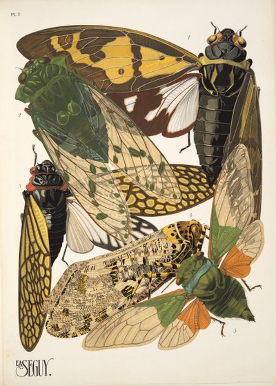 Talíř 2 z Insectes, hospoda. 30. léta (pochoir print) od Émile Allain Séguy