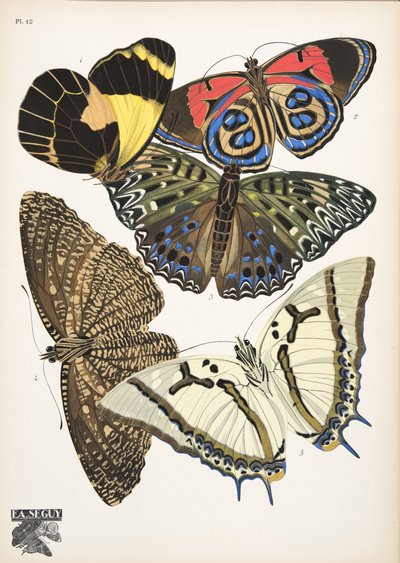 Talíř 12, z Motýlů, hospoda. 1925 (tisk šablony) od Émile Allain Séguy