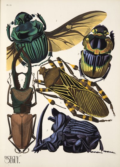 Talíř 15 z Insectes, hospoda. 30. léta (pochoir print) od Émile Allain Séguy