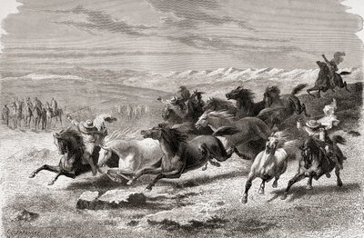 Argentinští gauchos zakulacení divokých koní, ilustrace z 