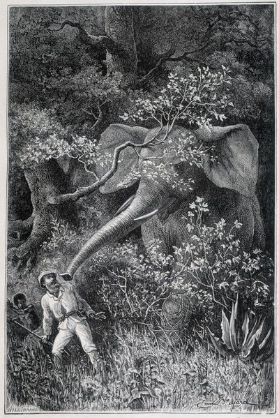 Livingstone překvapený slonem v "Le Tour du Monde" od Emile Antoine Bayard