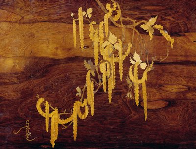Inkrustovaný rostlinný motiv, detail secesních stolků, cca 1900, autor Emile Galle (1846-1904), Detail, Francie, 20. století od Emile Galle