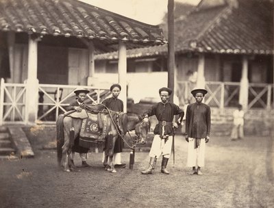 Bohatý Annamit jezdící na koni, Cochin, Čína, 1866. od Emile Gsell