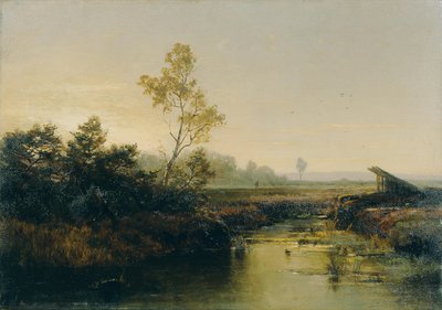 Moorlandschaft od Emilie Mediz-Pelikan