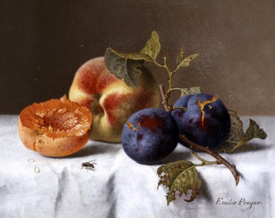 Zátiší broskví a nahnilých švestek. Obraz Emilie Preyerové (1849-1930) Soukromá sbírka. od Emilie Preyer