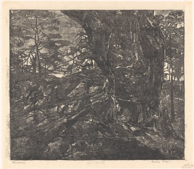 Stromy na okraji duny mezi Egmondem a Bergenem od Emilius Wilhelmus Dehé (signed by artist)
