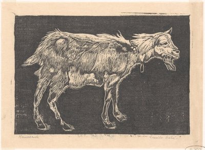 Koza od Emilius Wilhelmus Dehé (signed by artist)