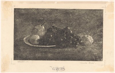 Mísa s hrozny a jiným ovocem od Emilius Wilhelmus Dehé (signed by artist)
