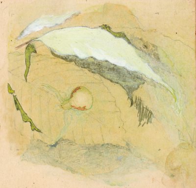 Porcelán-bílý pavouk, konec 19.-začátek 20. století. od Emma Beach Thayer