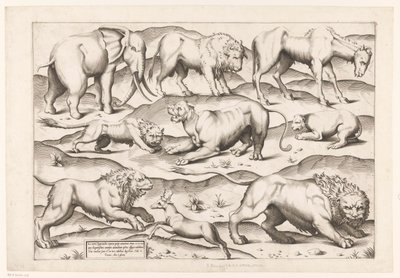 Negen wilde dieren Dieren naar antieke muurschilderingen (series title) Speculum Romanae Magnificentiae (series title)   1365874   cs       czech Successfully Translated  Original: Achilles Taught by Centaur Chiron How to Play Lyre Translat: Achilles Taugh od Enea Vico (attributed to)