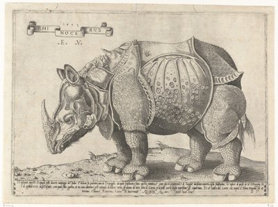 Neushoorn Rhinocerus (název na objektu) od Enea Vico