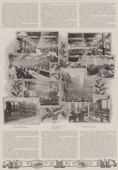 Britská předmětová lekce od English Photographer