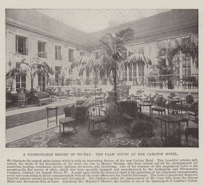 Moderní letovisko současnosti, Palm Court v hotelu Carlton od English Photographer