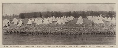 Chytrý sbor nepravidelných, imperiální lehký kůň defiloval v jejich táboře v Pietermaritzburgu od English Photographer
