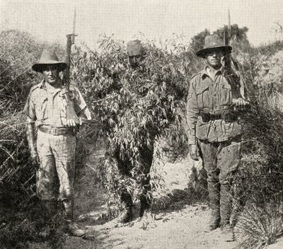 Turecký odstřelovač, maskovaný jako keř, ve vazbě poté, co byl zajat jednotkami ANZAC, z „Velké války: Historie“, svazek III, 1916 od English Photographer