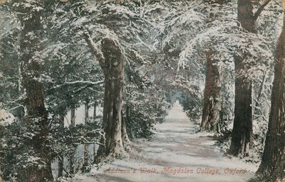 Addisons Walk, Magdalen College, Oxford. Pohlednice odeslána v roce 1913. od English Photographer