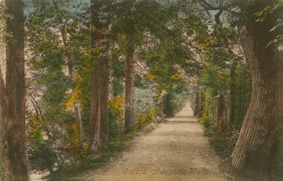 Addisons Walk, Oxford. Pohlednice odeslána v roce 1913. od English Photographer