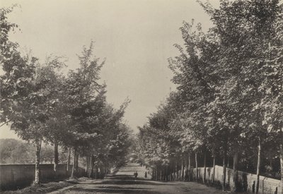 Aldeburgh, Westfields Avenue (černobílá fotografie) od English Photographer
