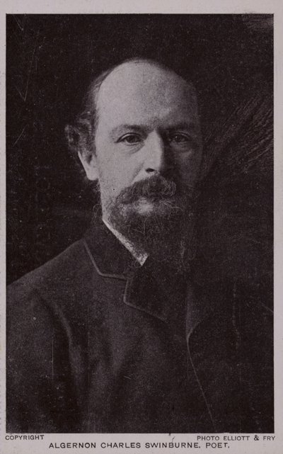 Algernon Charles Swinburne (1837-1909), anglický básník a dramatik od English Photographer
