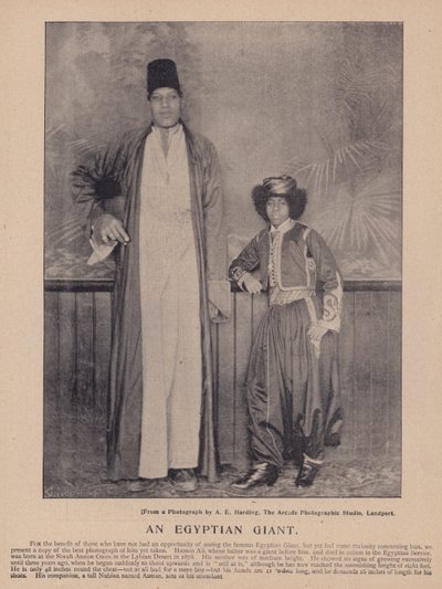 Egyptský obr (černobílá fotografie) od English Photographer