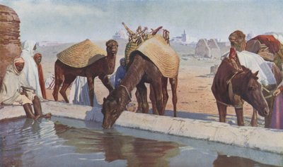 Arabští přivandrovalci (barevné foto) od English Photographer