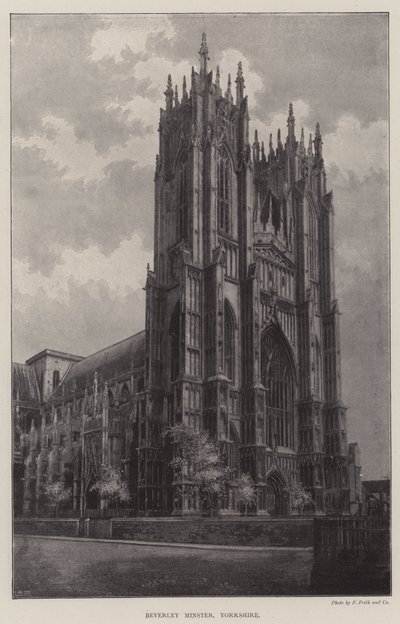 Beverley Minster, Yorkshire od English Photographer