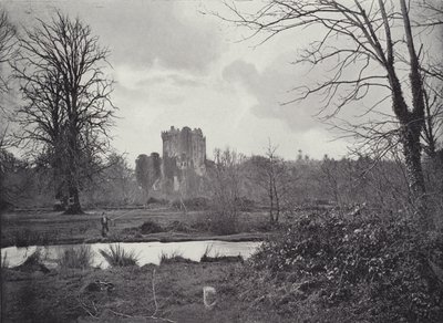 Hrad Blarney od English Photographer