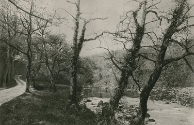 Bolton Woods od English Photographer