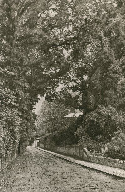 Bonchurch Road, Isle of Wight od English Photographer
