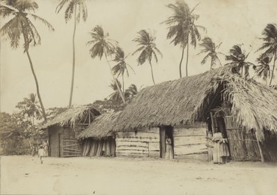 Bridgetown, Barbados, chatrče od English Photographer