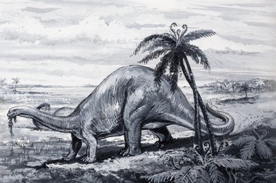 Brontosaurus od English Photographer