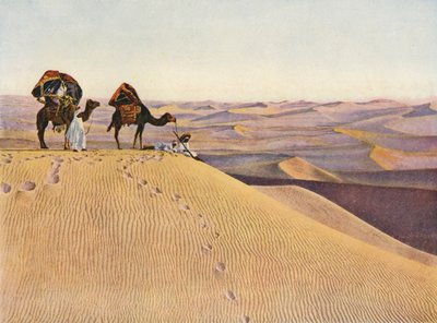 Velbloudi na Sahaře (barevné foto) od English Photographer