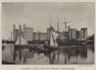 Hrad Carnarvon, z Harbour, Carnarvonshire od English Photographer