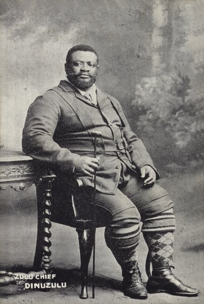 Cetshwayo kaMpande, král národa Zuluů od English Photographer